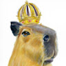 Copybara -